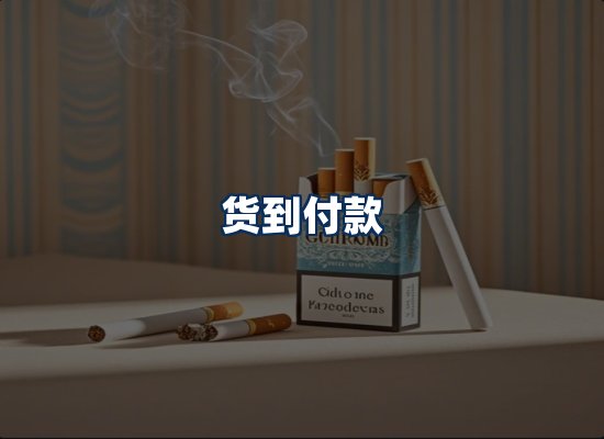 专业团队办公环境